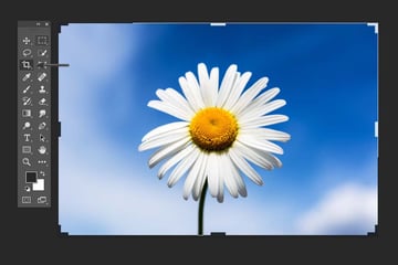 how to activate the Crop tool in Photoshop